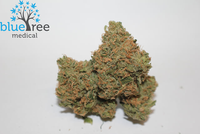 Agent Orange