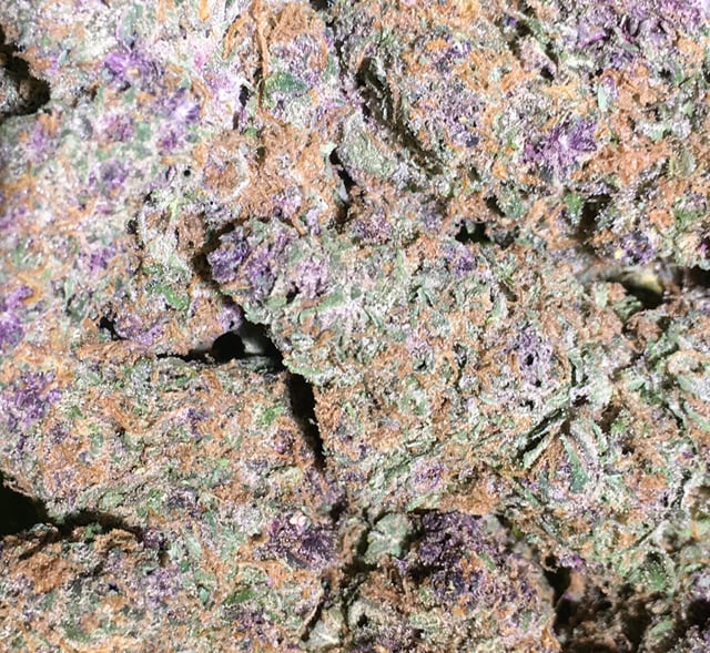 Forbidden Fruit
