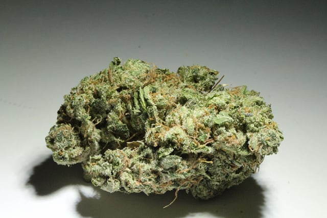Kimbo Kush