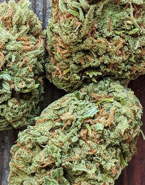 Marionberry Kush