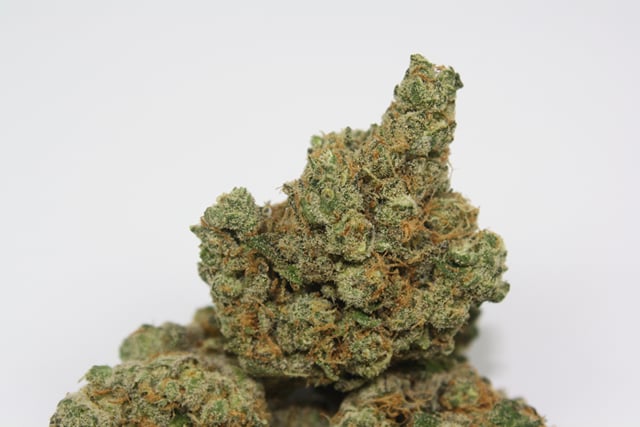 Humboldt Hawaian