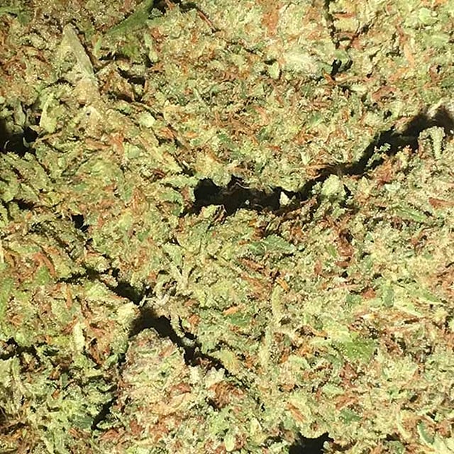 Lemon O.G. Candy - Big Basin Botanicals