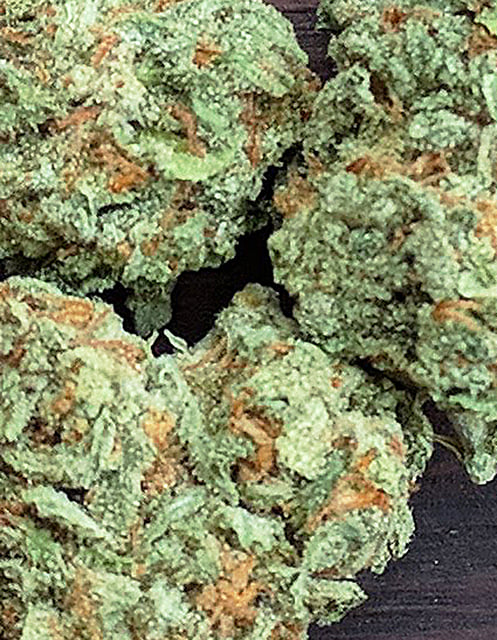 Skunk Durban Lime