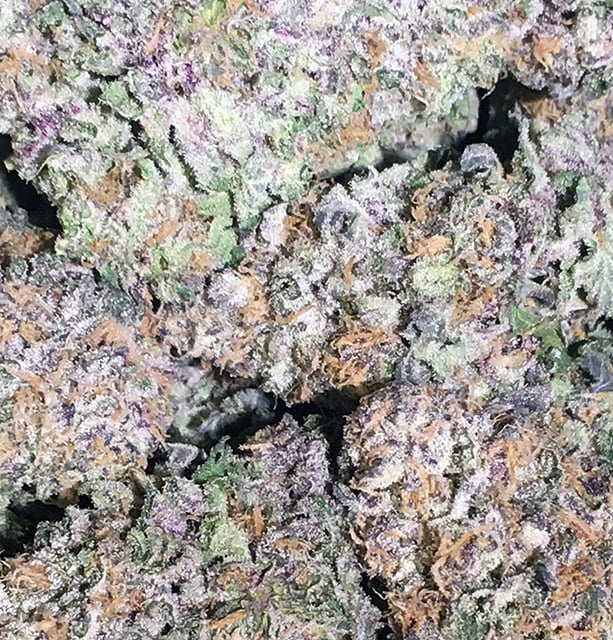 Purple Punch