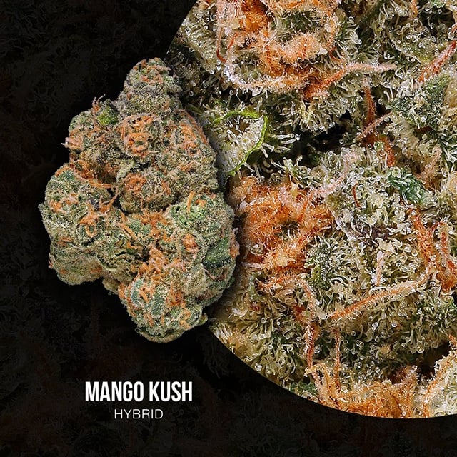 GDW Mango Kush