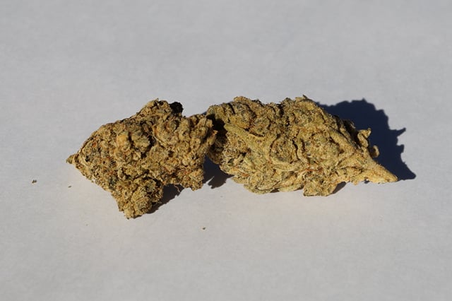 Gorilla Glue - Indoor Special -