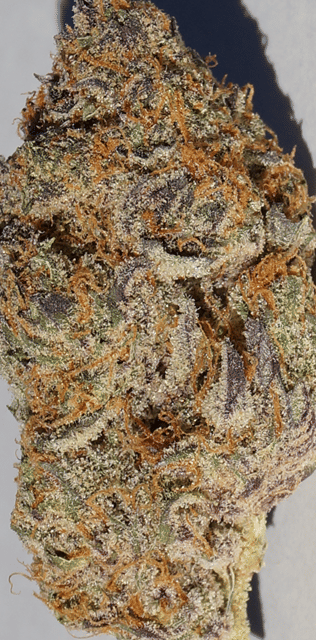 Grape Soda - Patio Favorite -