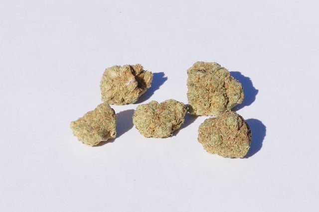 Patio Budlets - Ounce Deal -