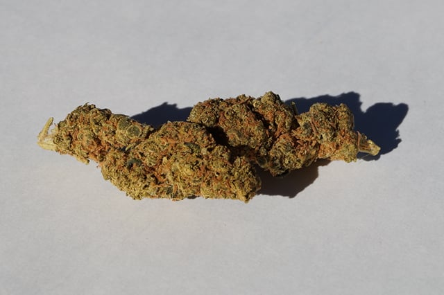 Sour Tangie - Patio Special -