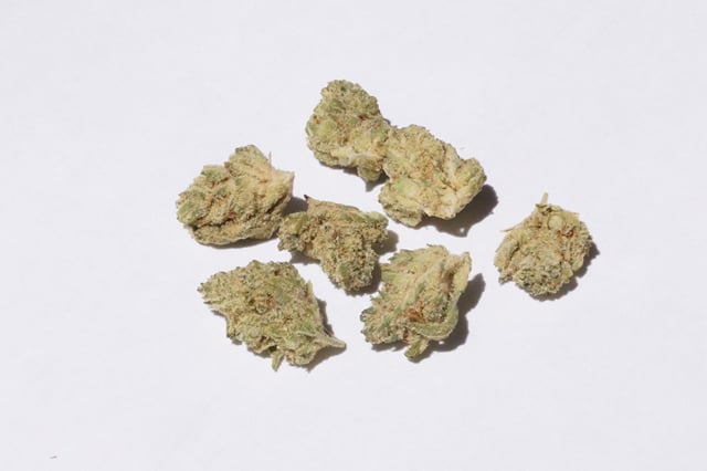 Indoor Top Shelf Budlets - Patio Deal -