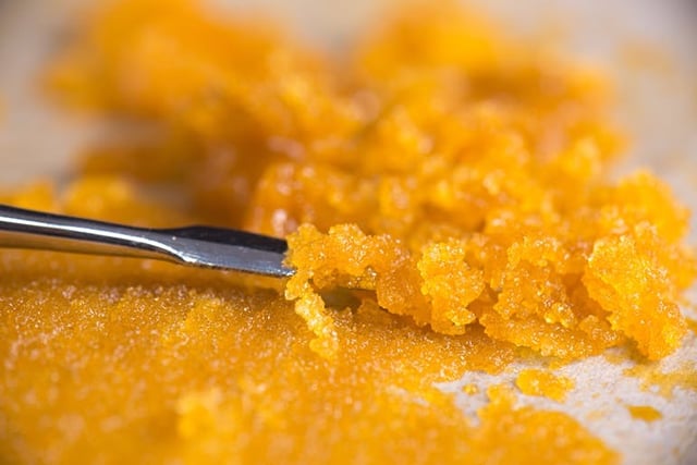 Sour Love