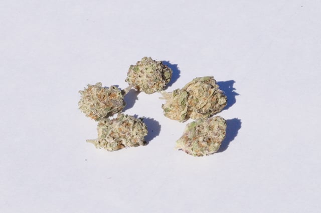 Blackberry Kush - Indoor Budlets -