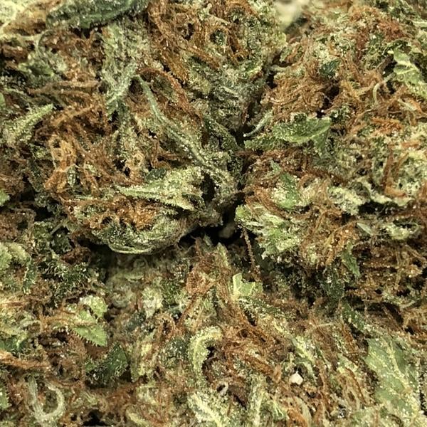 Topanga Canyon OG