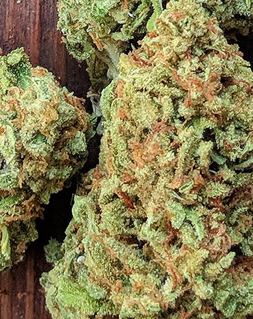 Sour Apple
