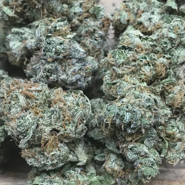 Blueberry Pie
