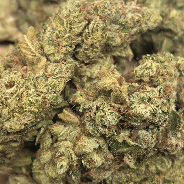 Gorilla Ghost OG