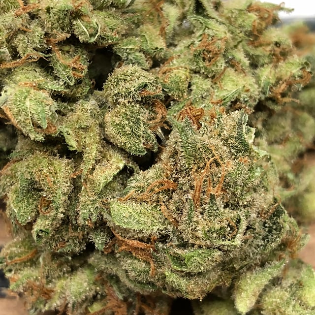 Super Silver Haze