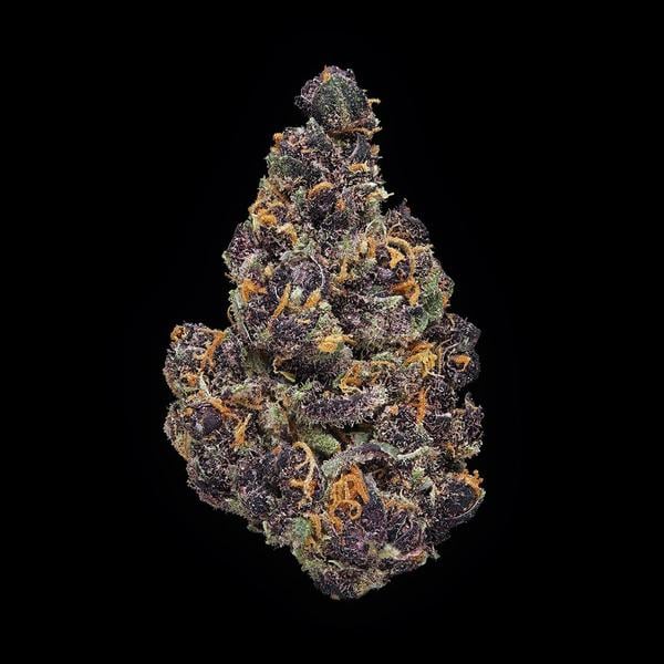 Purple Tangie