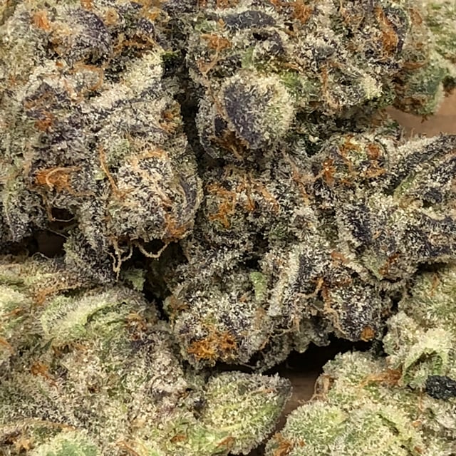 Mendo Breath
