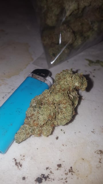 Hash Bar 5 g $50!
