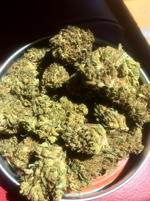$110 oz special Cannatonic x purple outdoor CBD rich strain