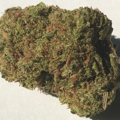 Pakistan Valley Kush
