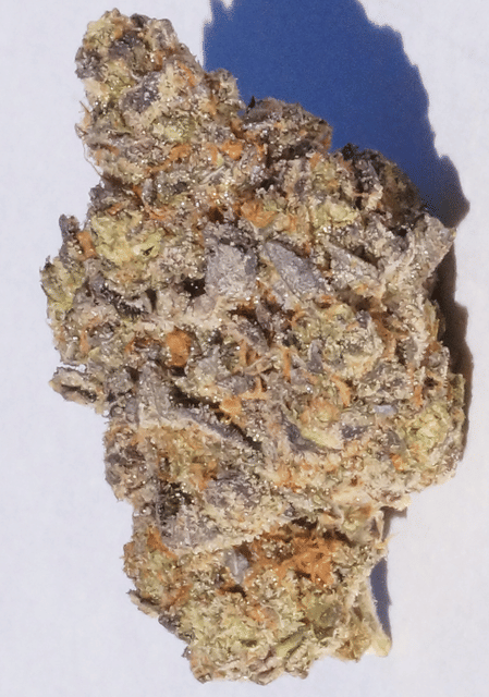 Gooberry - Patio Favorite -