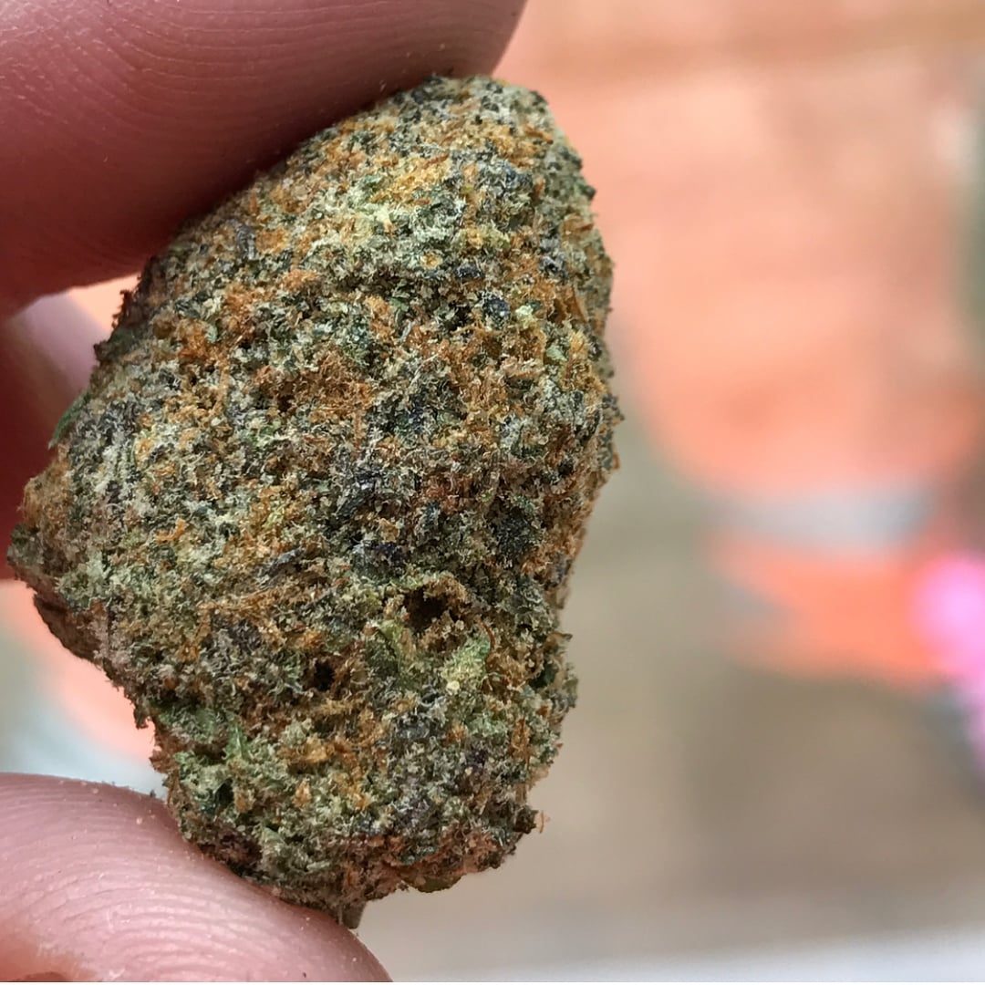 Gelato #33
