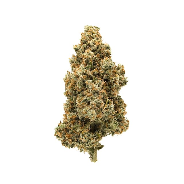 NUG Flower - Premium Jack