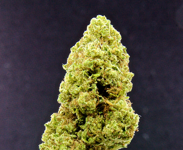 Granola Funk