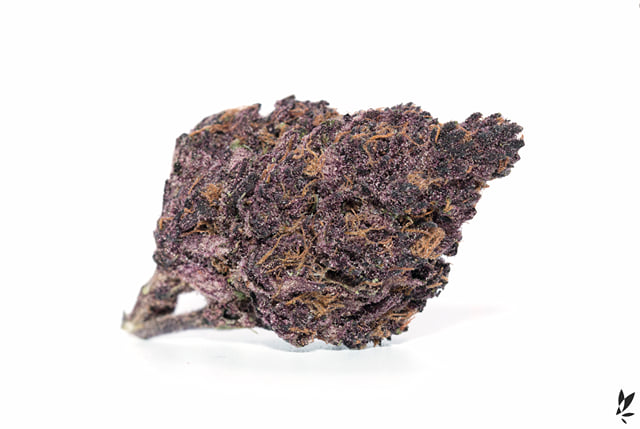 Velvet Purps