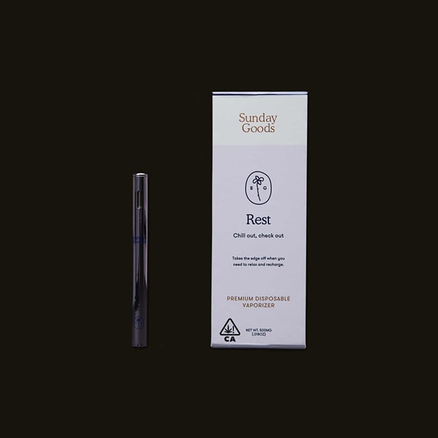 Disposable Pen: Rest
