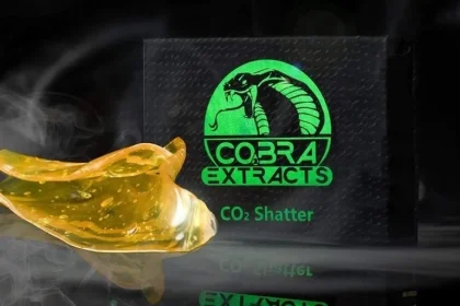 Mimosa CO2 Shatter