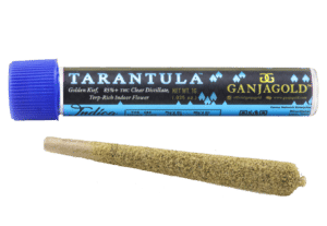 King Louie Tarantula