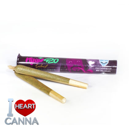 Purple Candy Cane - Ngaio420 Select Preroll