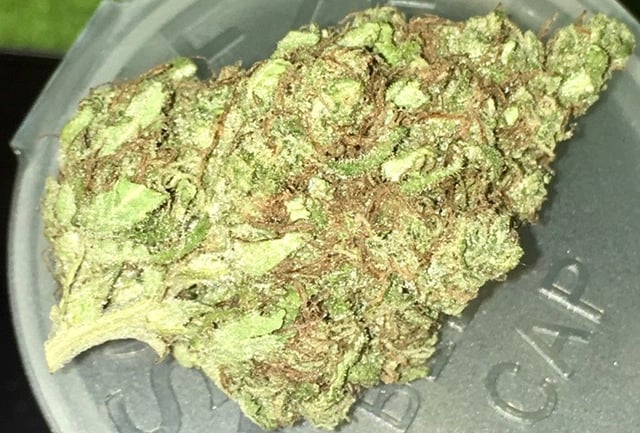 Grape Diesel