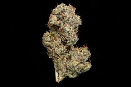Skywalker OG Smalls 28g