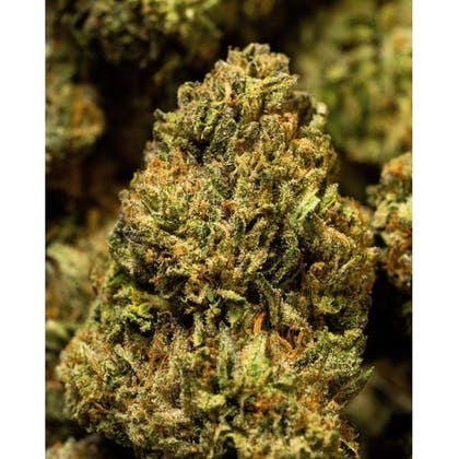 Animal Style Flower 3.5g