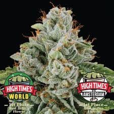 Cannabiotix - White Walker OG 3.5g - Cannabiotix - Cannabiotix - White Walker OG 3.5g - $75 - Flower