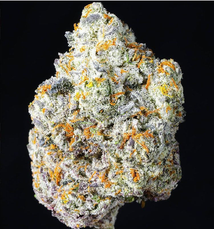 Oakland Sunset Sherbet