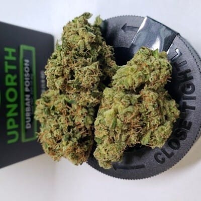 Up North — Durban Poison