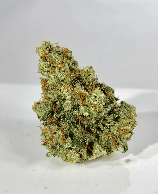 NF1 - Jar - Indoor Flower