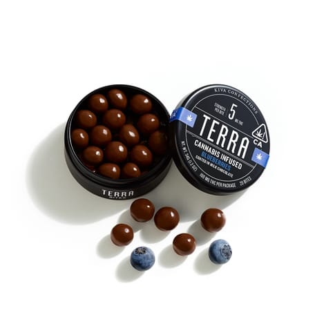 Kiva: Blueberries Terra Bites