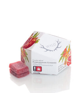 Wyld - Pomegranate 1:1 THC:CBD Gummies - Wyld - Wyld - Pomegranate 1:1 THC:CBD Gummies - $24 - Edible