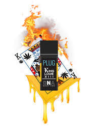 PlugPlay — King Louie