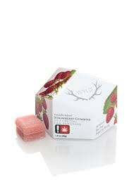 Strawberry 20:1 - GUMMY - WYLD -  - $20 - Edibles
