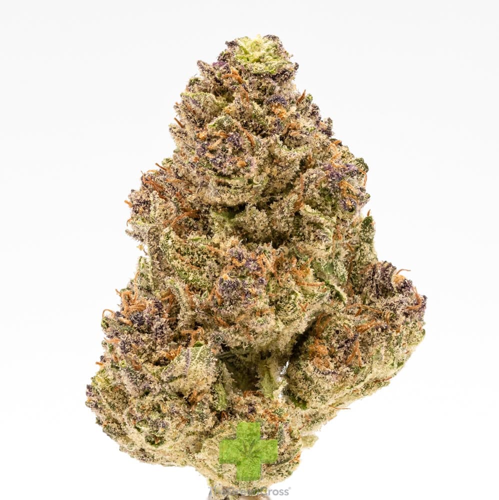 Rimrock Farms — Blue Tara, Sg