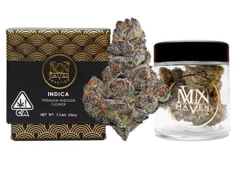 Maven Genetics — Lemon Cherry Tropicana