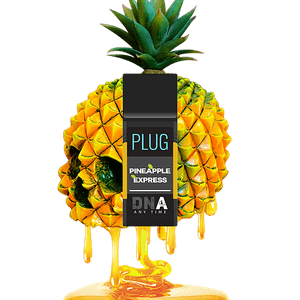 PlugPlay — Pineapple Express