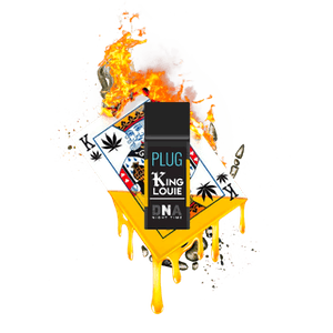 PlugPlay — King Louie